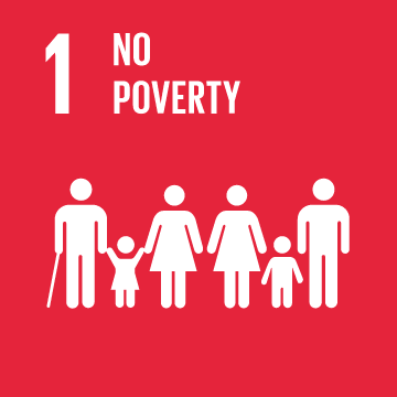 THE SUSTAINABLE DEVELOPMENT GOALS WE ARE CONTRIBUTING TO 0